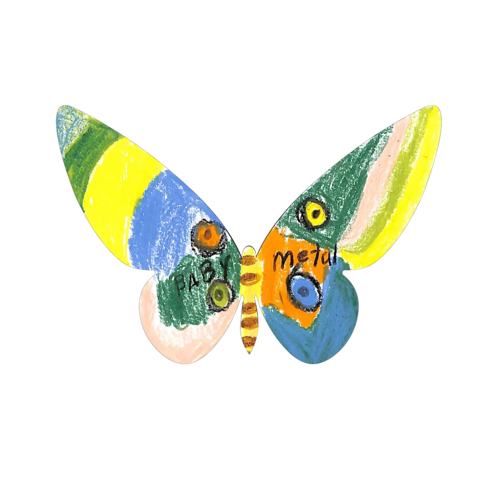 Original Butterfly Image