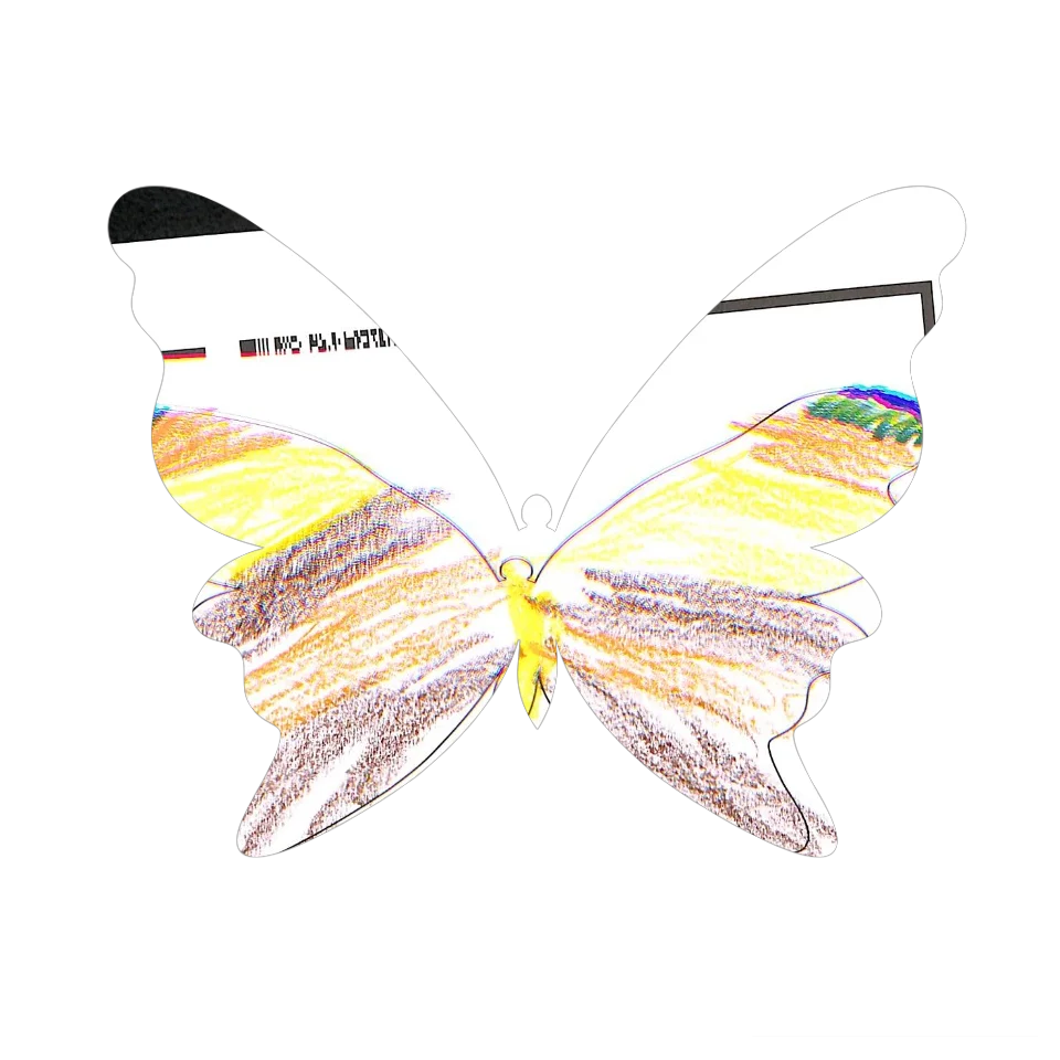 Original Butterfly Image