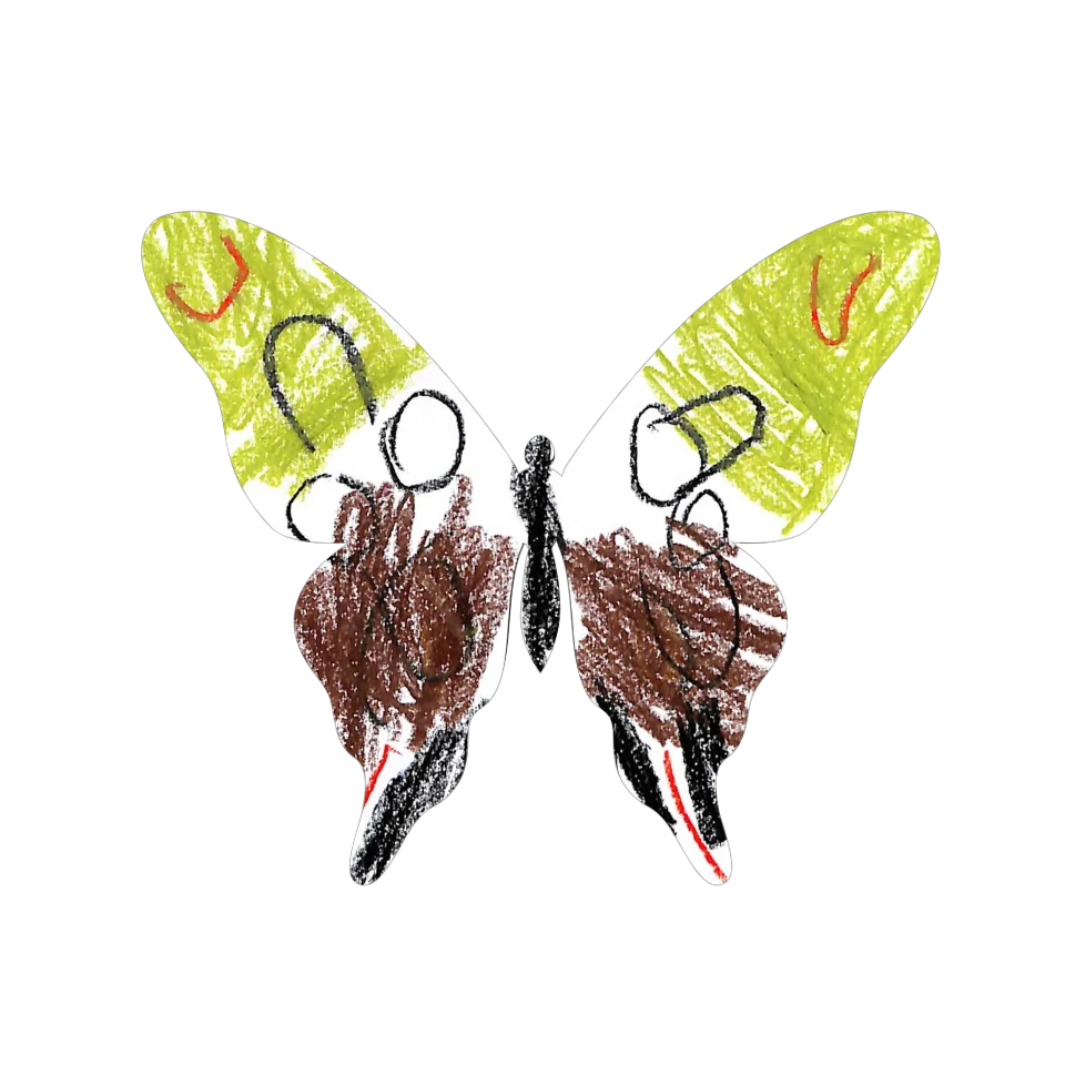 Original Butterfly Image