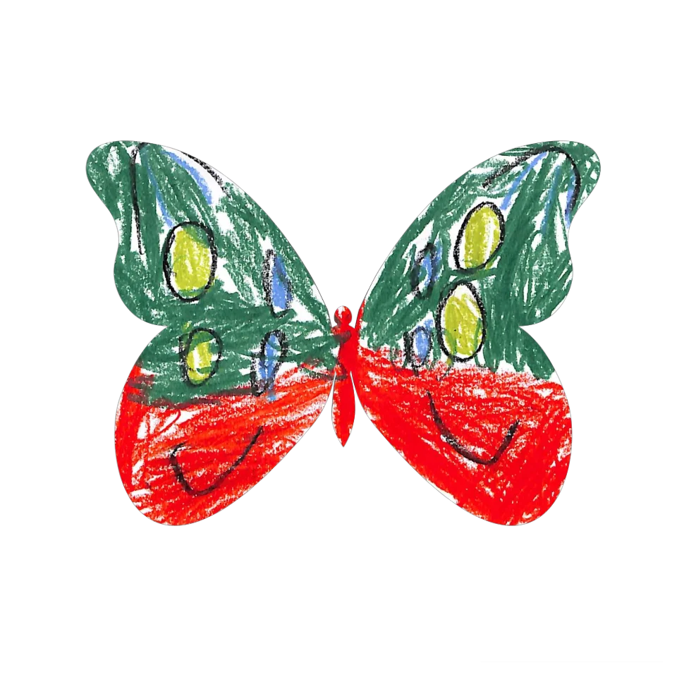 Original Butterfly Image