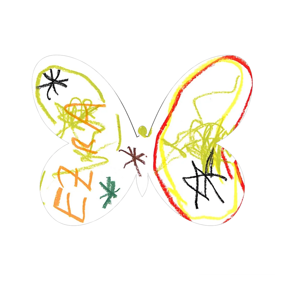 Original Butterfly Image