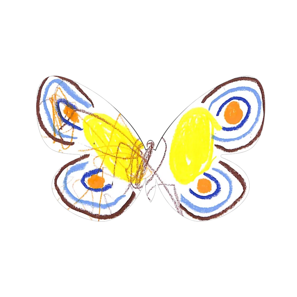 Original Butterfly Image