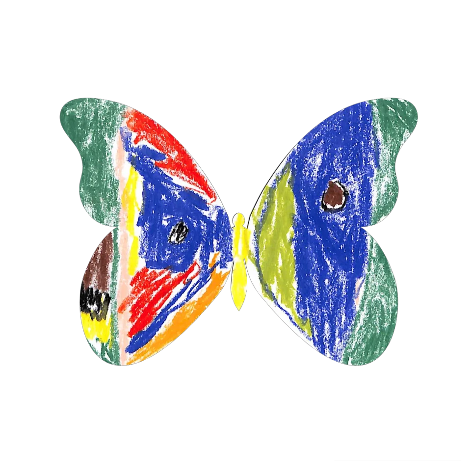 Original Butterfly Image