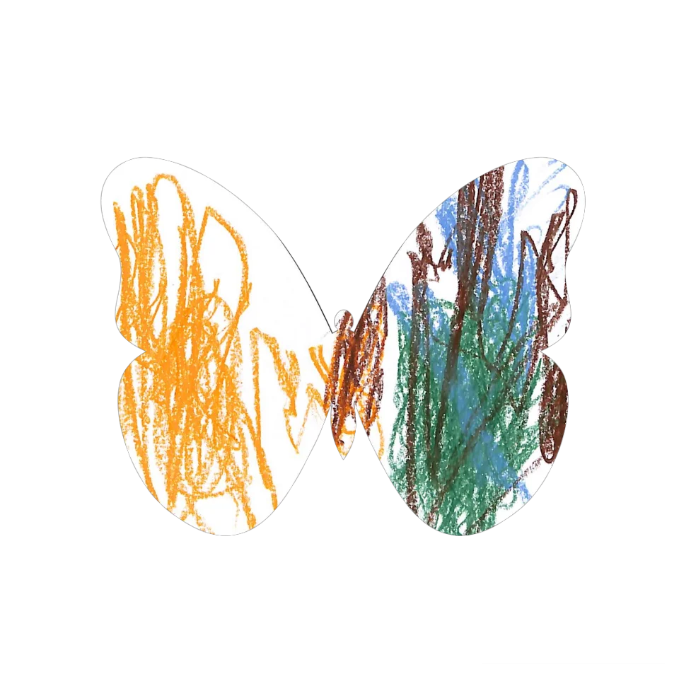 Original Butterfly Image