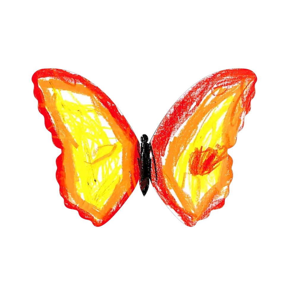Original Butterfly Image