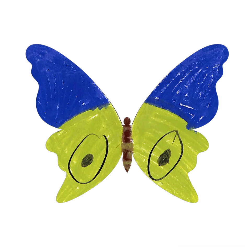 Original Butterfly Image