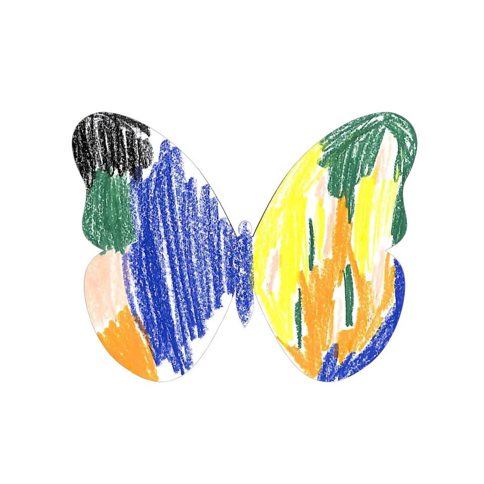 Original Butterfly Image