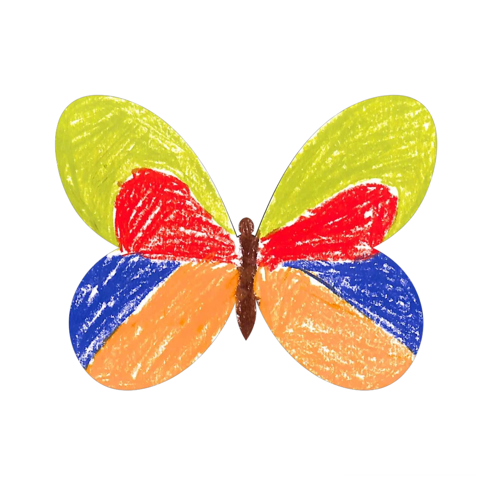 Original Butterfly Image