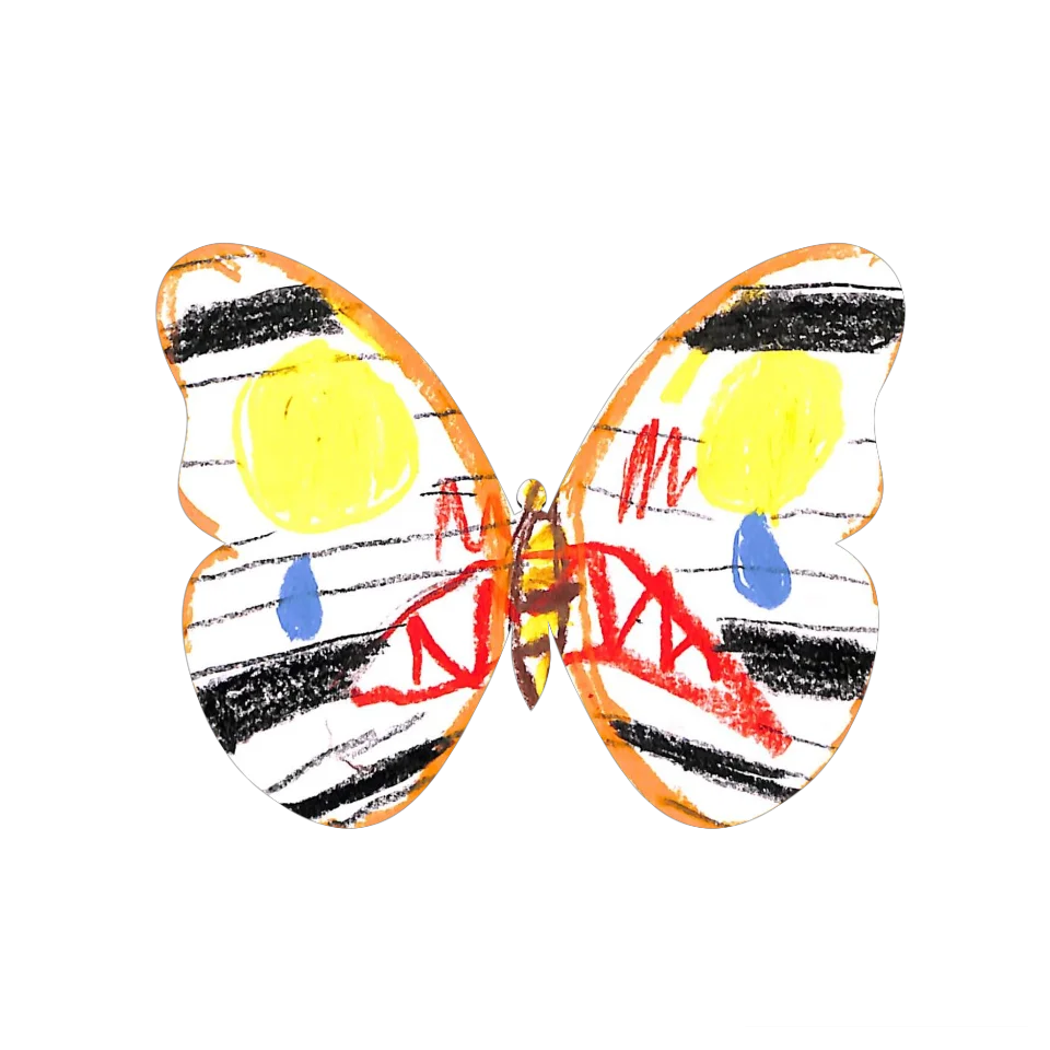 Original Butterfly Image