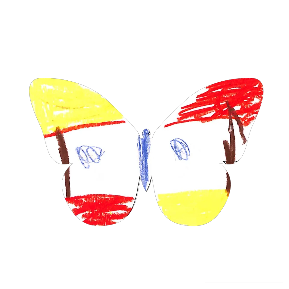 Original Butterfly Image