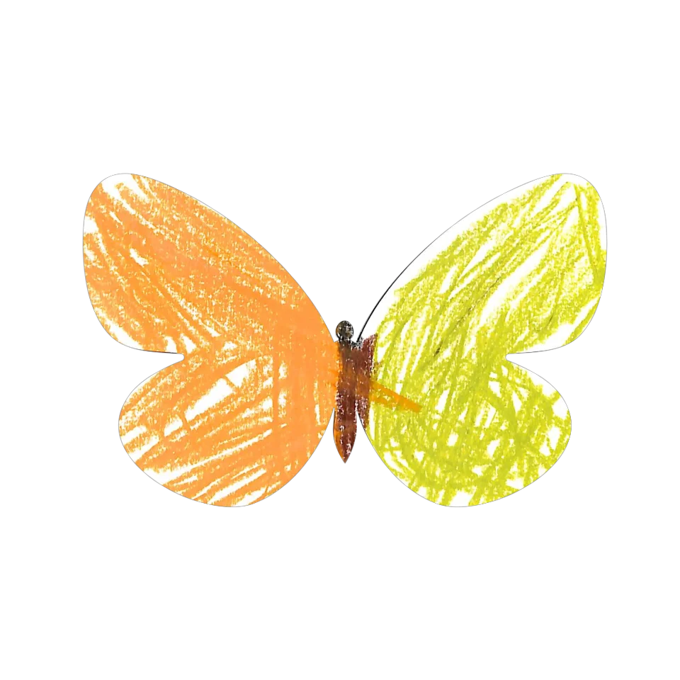 Original Butterfly Image