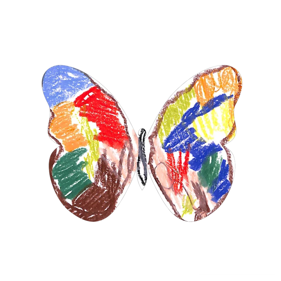 Original Butterfly Image