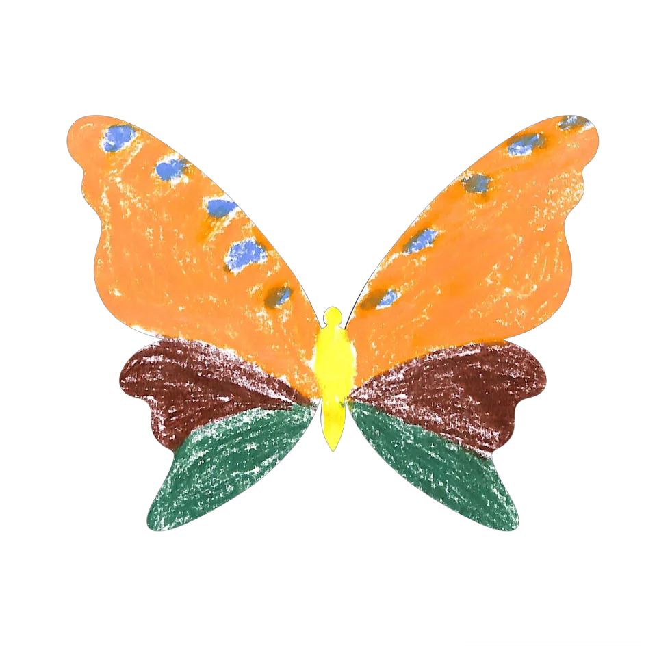 Original Butterfly Image
