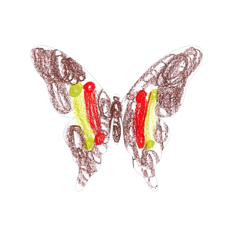 Original Butterfly Image