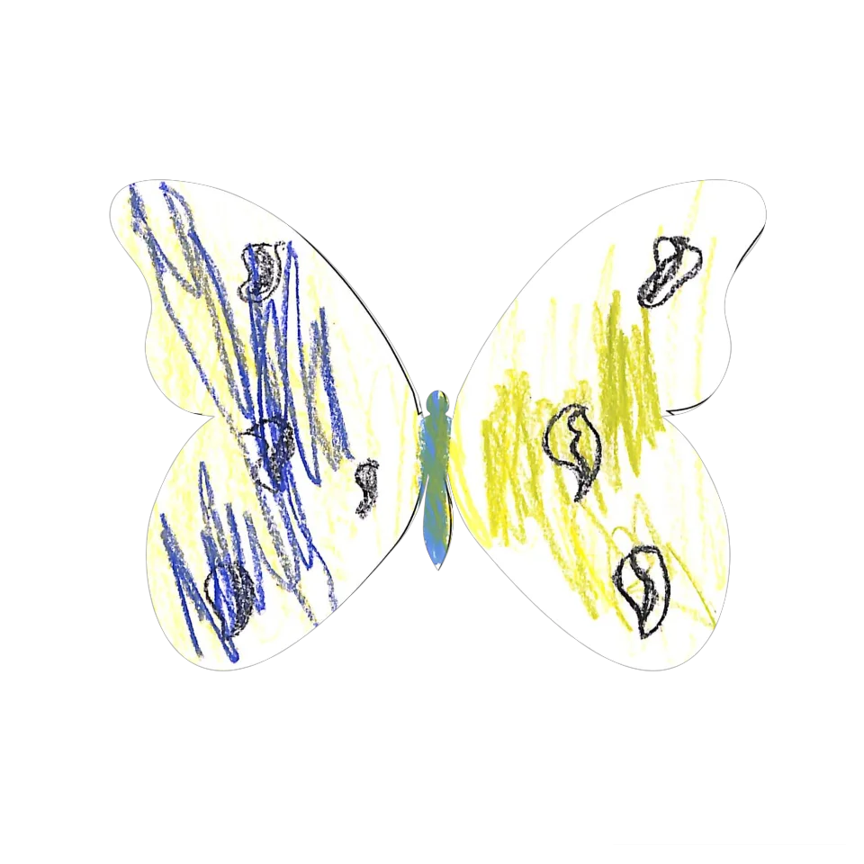 Original Butterfly Image