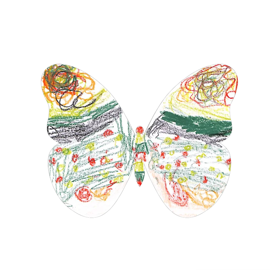 Original Butterfly Image