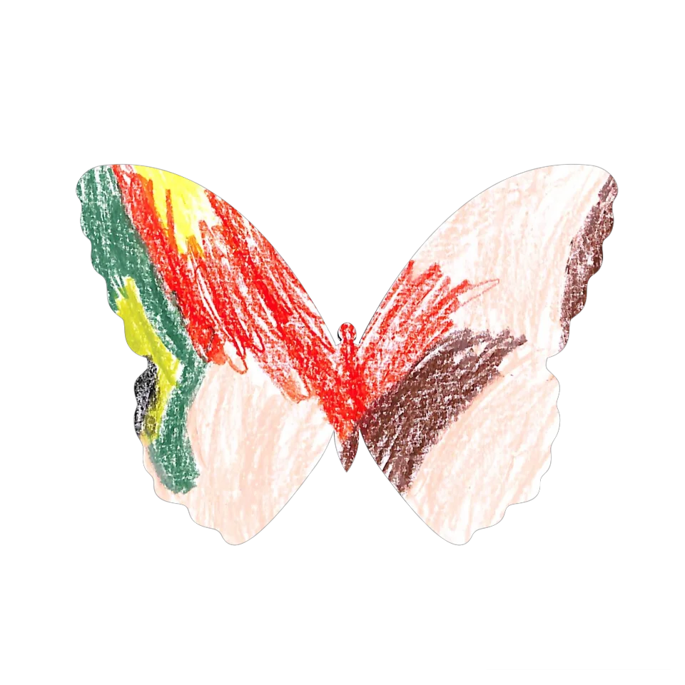 Original Butterfly Image
