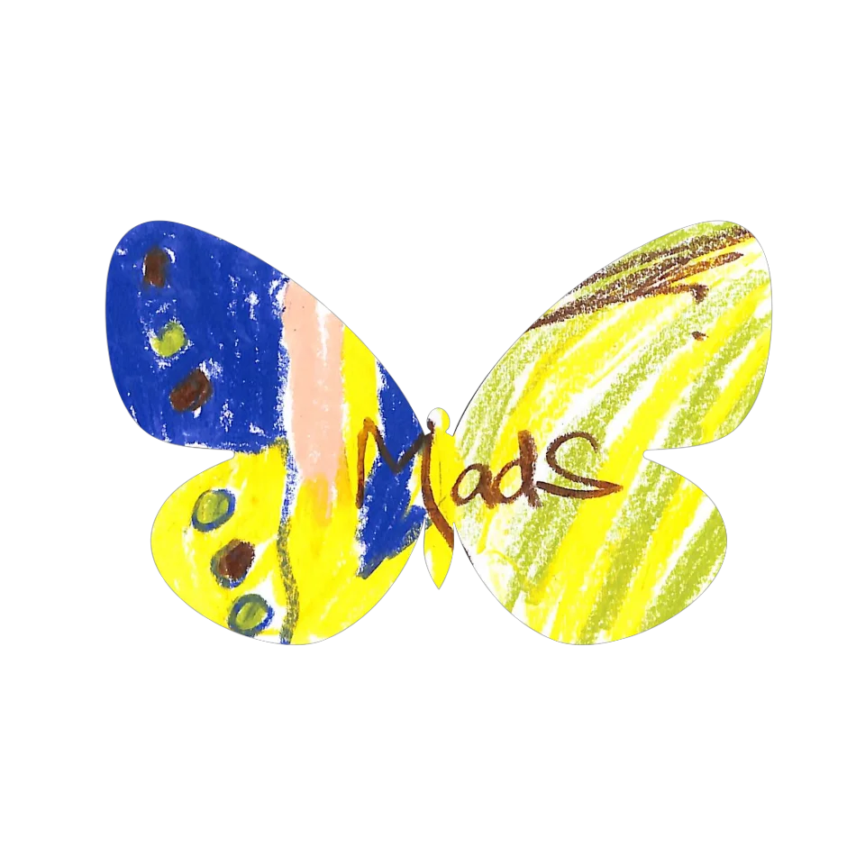 Original Butterfly Image