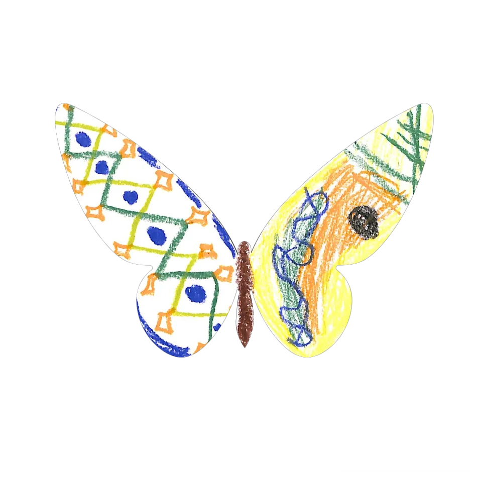 Original Butterfly Image
