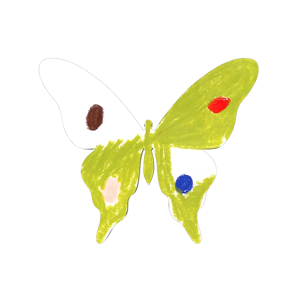 Original Butterfly Image