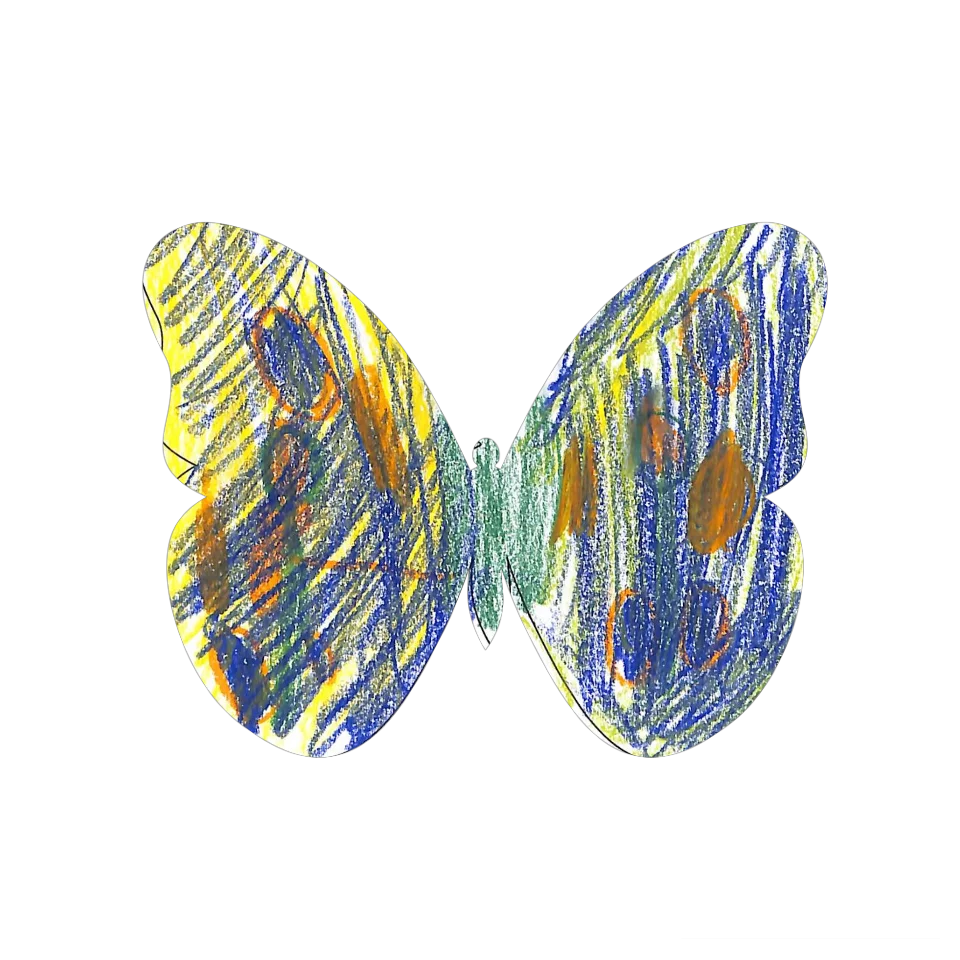 Original Butterfly Image