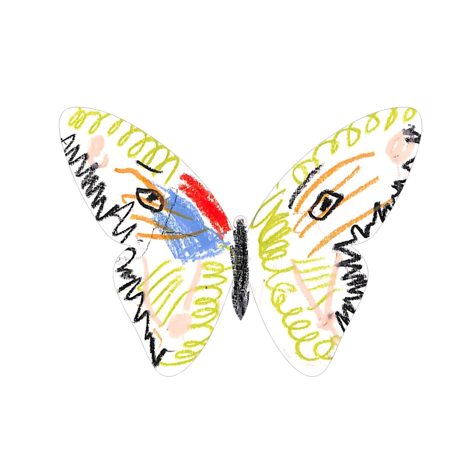 Original Butterfly Image