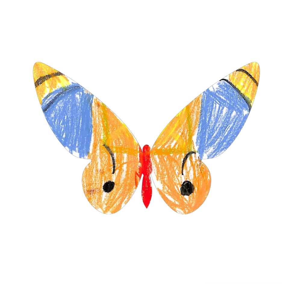 Original Butterfly Image