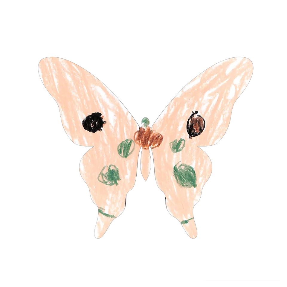 Original Butterfly Image