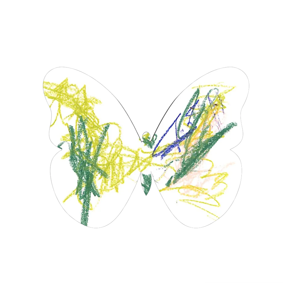 Original Butterfly Image
