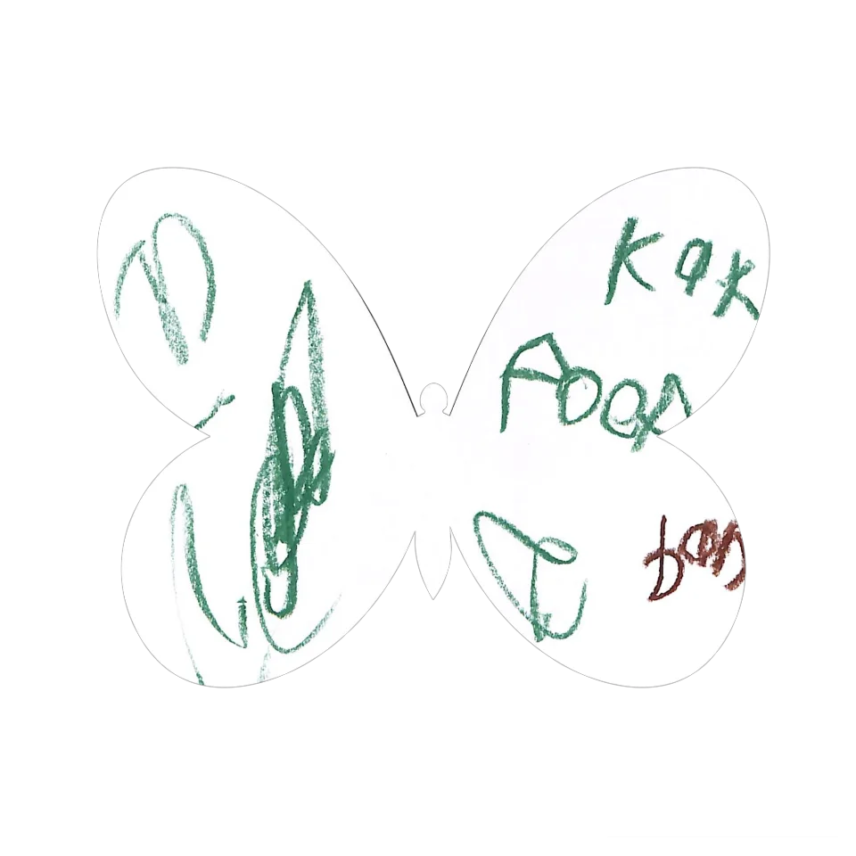 Original Butterfly Image