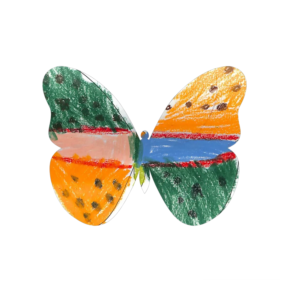 Original Butterfly Image