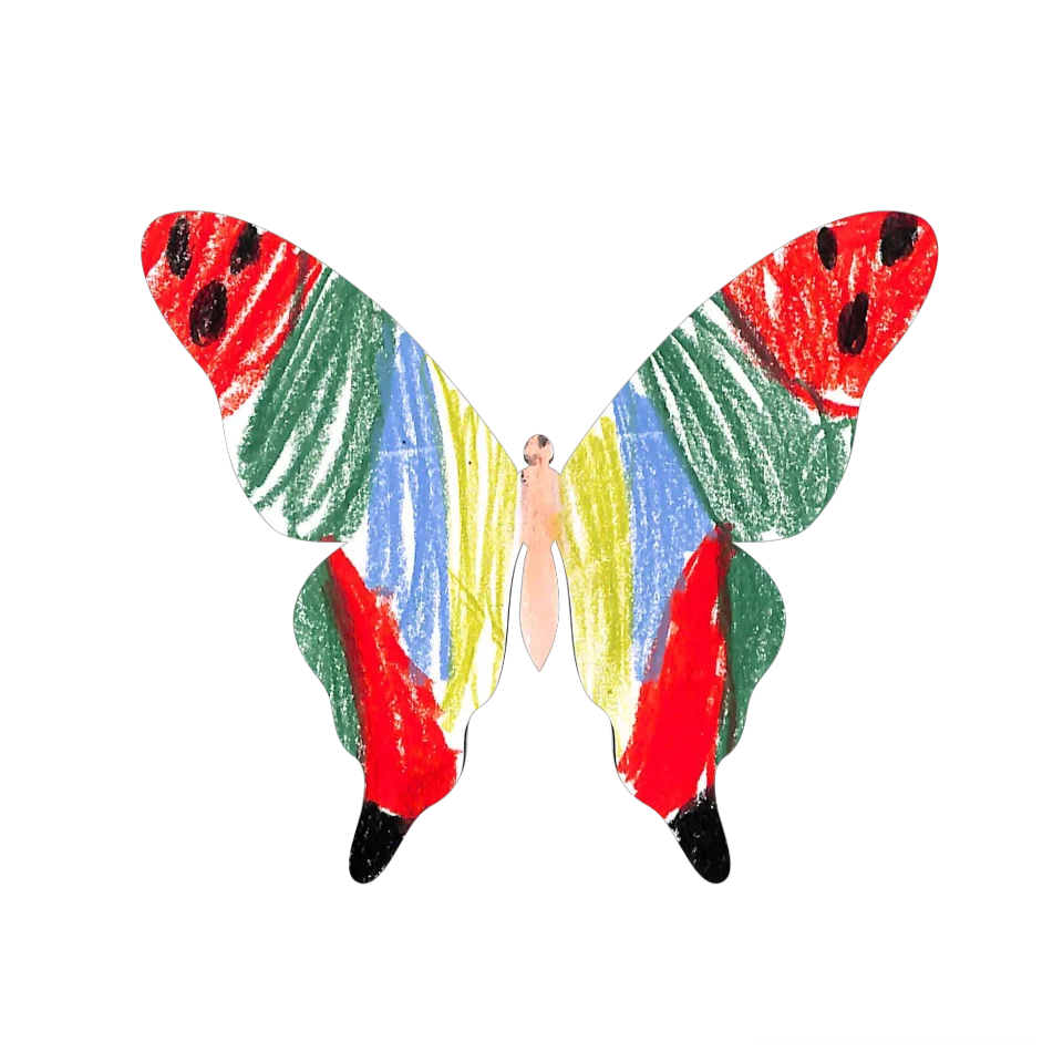 Original Butterfly Image