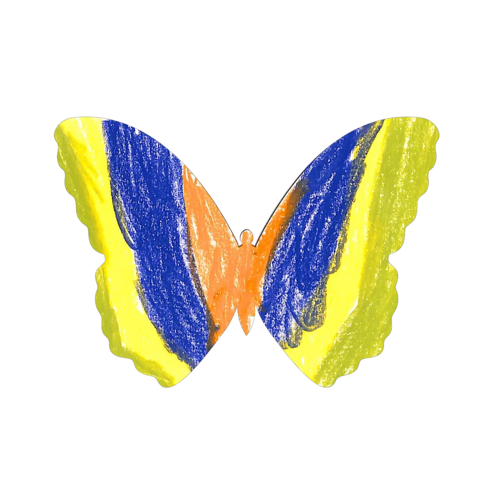 Original Butterfly Image