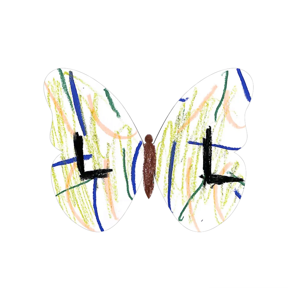 Original Butterfly Image