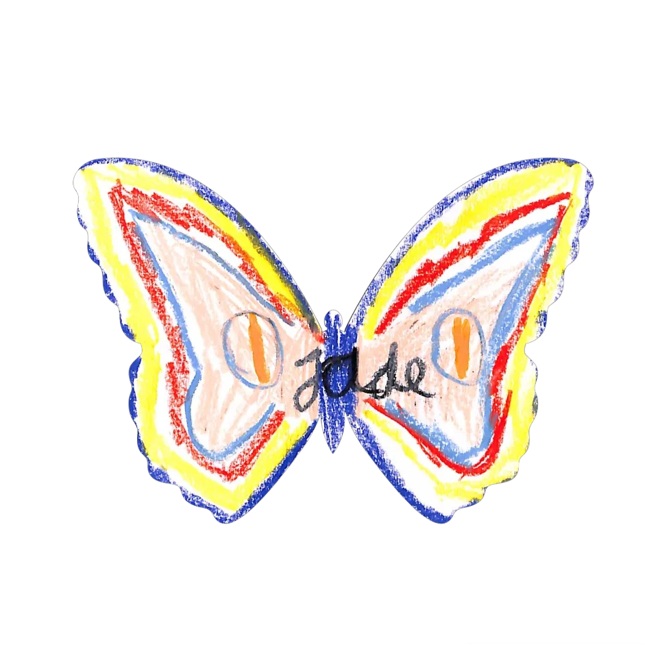 Original Butterfly Image