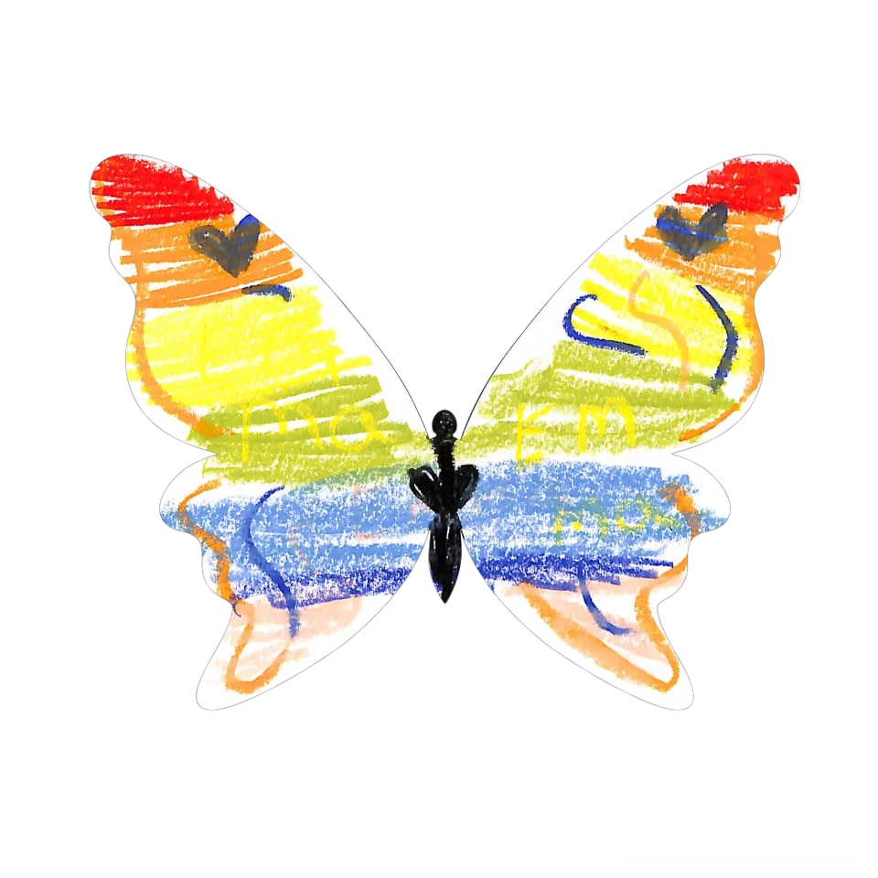 Original Butterfly Image
