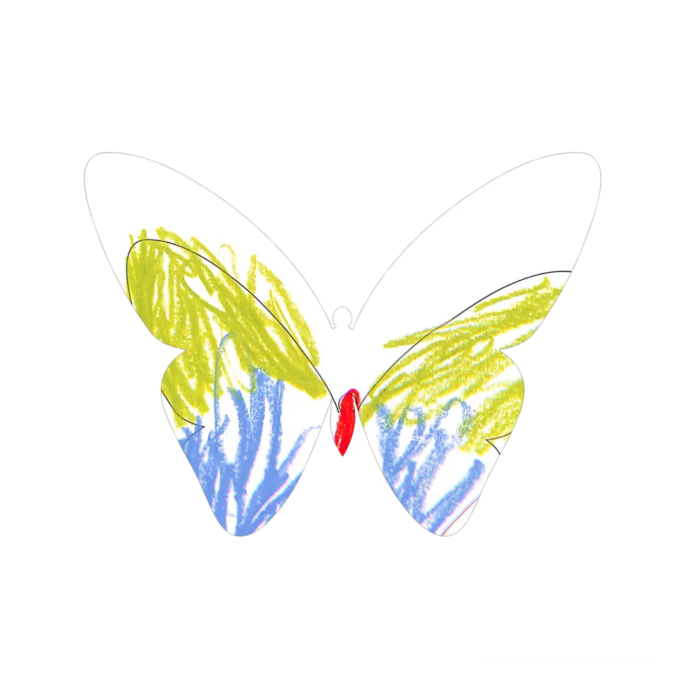 Original Butterfly Image