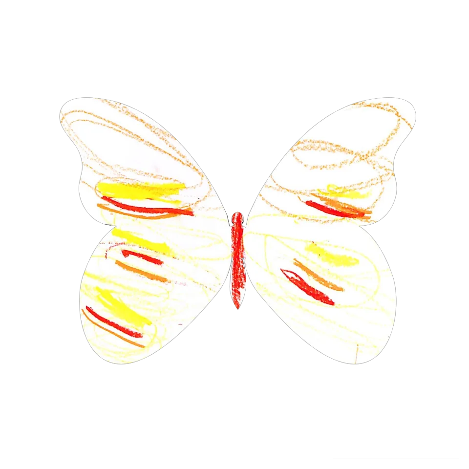 Original Butterfly Image