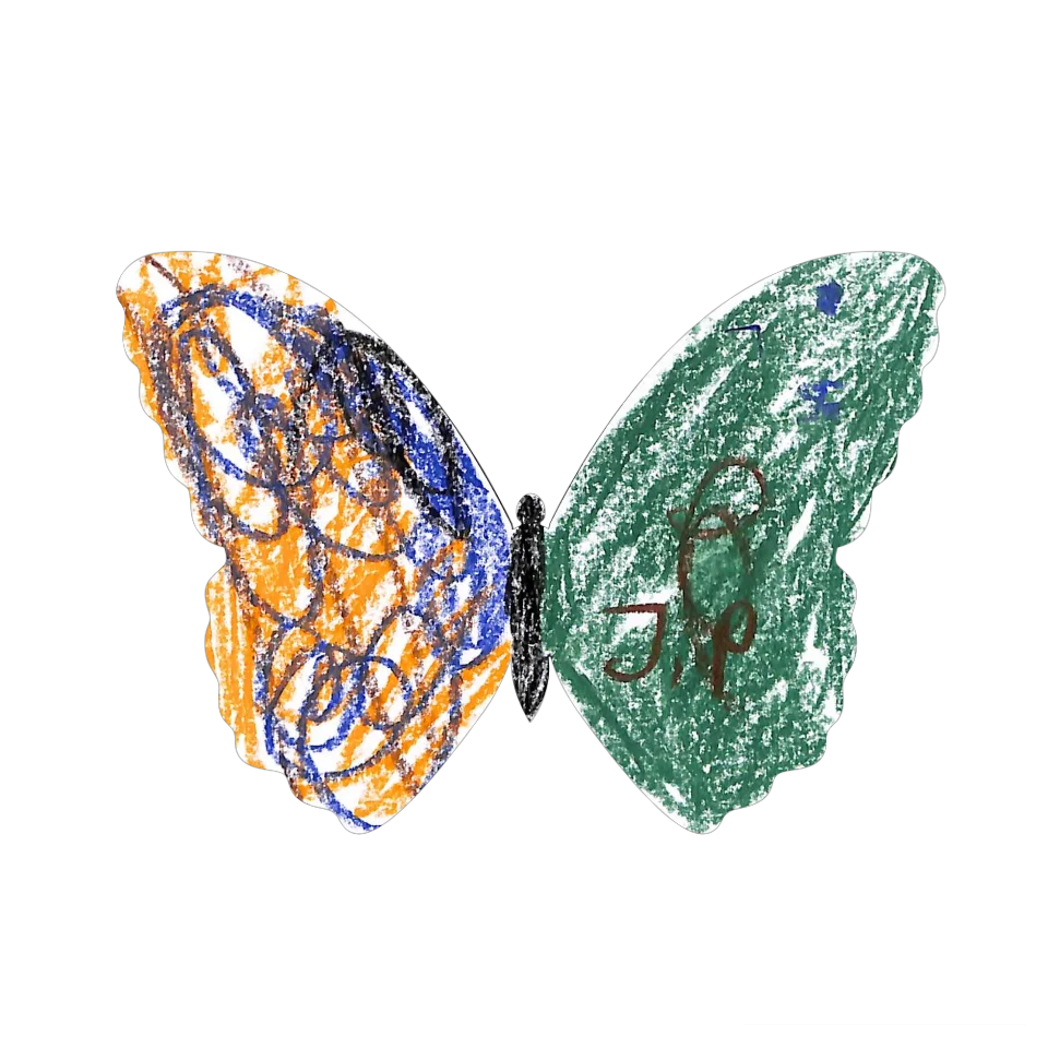 Original Butterfly Image