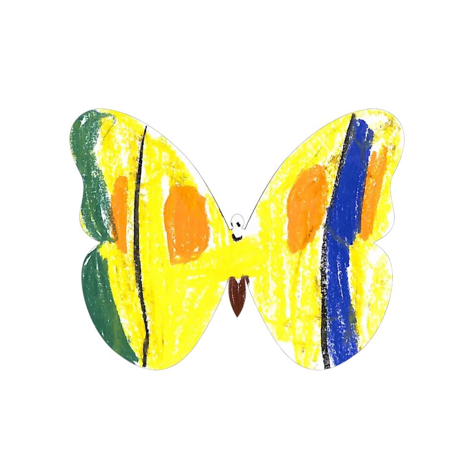 Original Butterfly Image