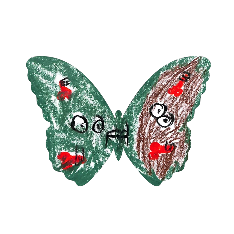 Original Butterfly Image