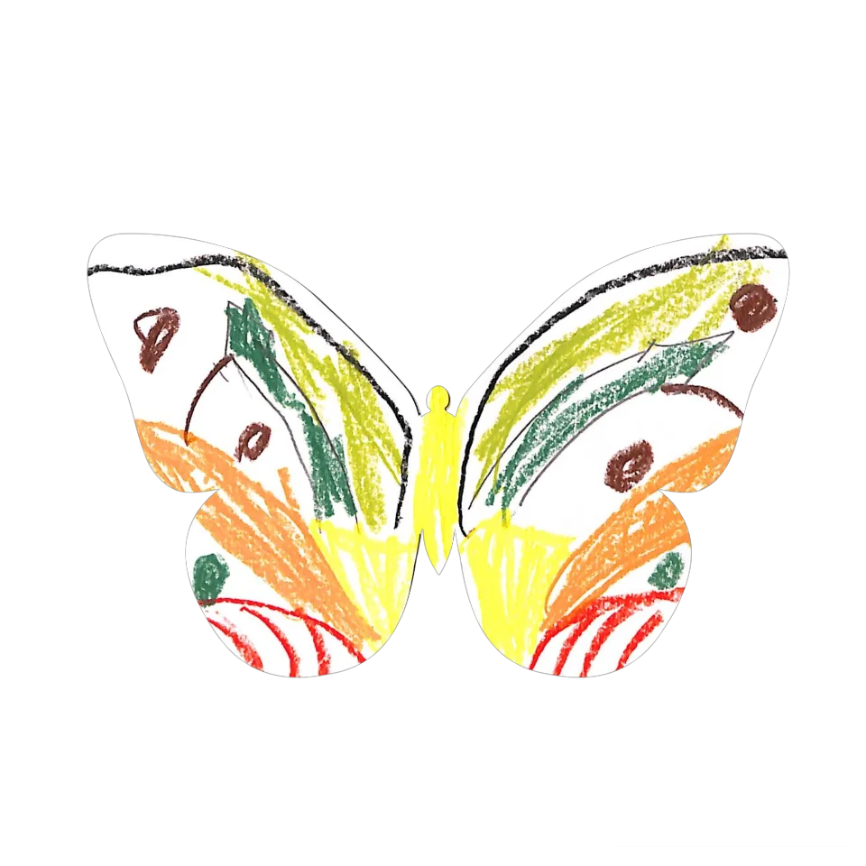 Original Butterfly Image