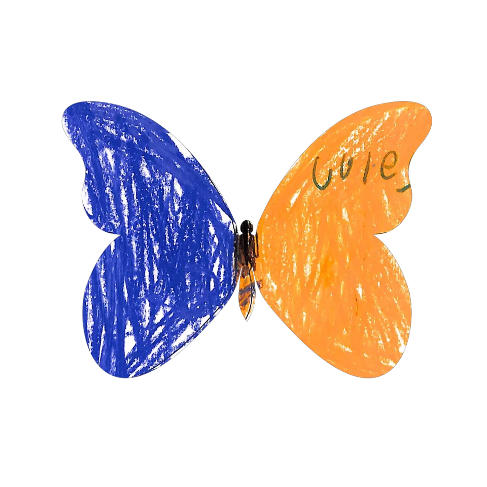 Original Butterfly Image