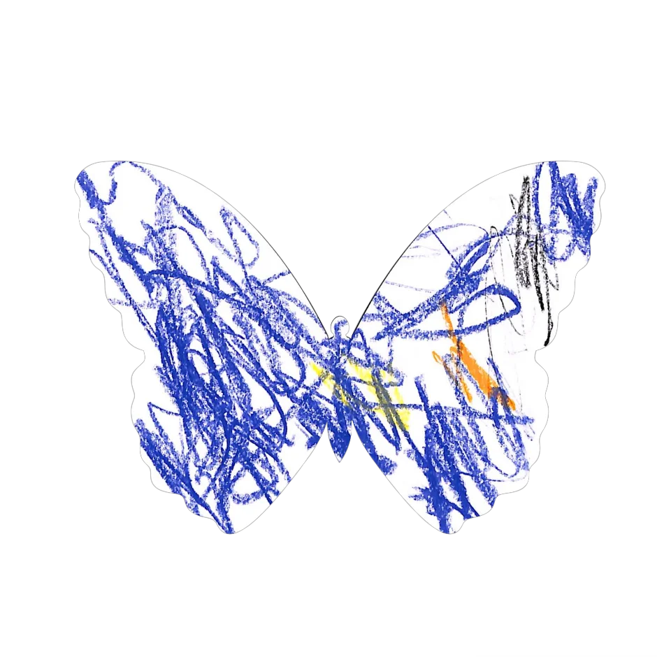 Original Butterfly Image