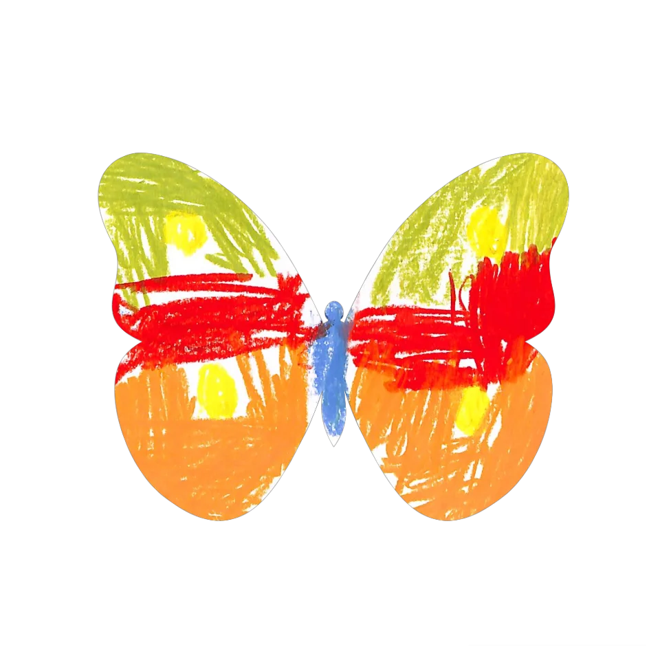 Original Butterfly Image