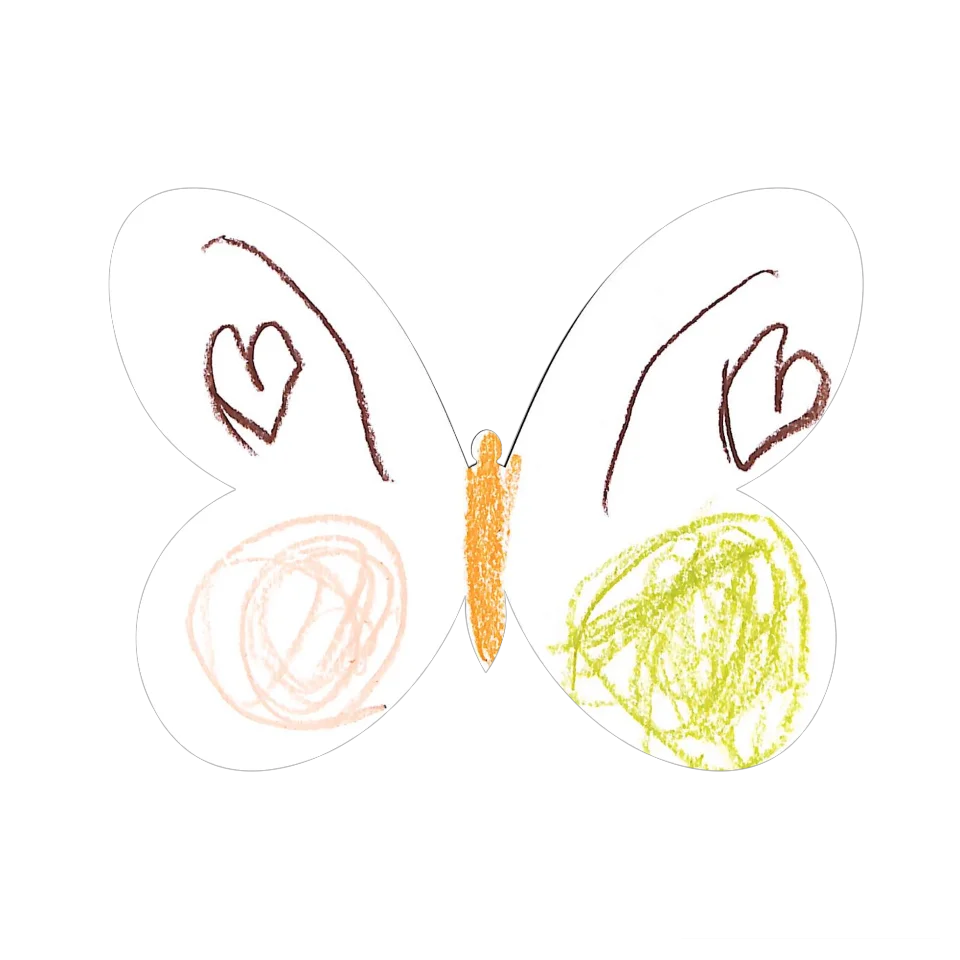 Original Butterfly Image