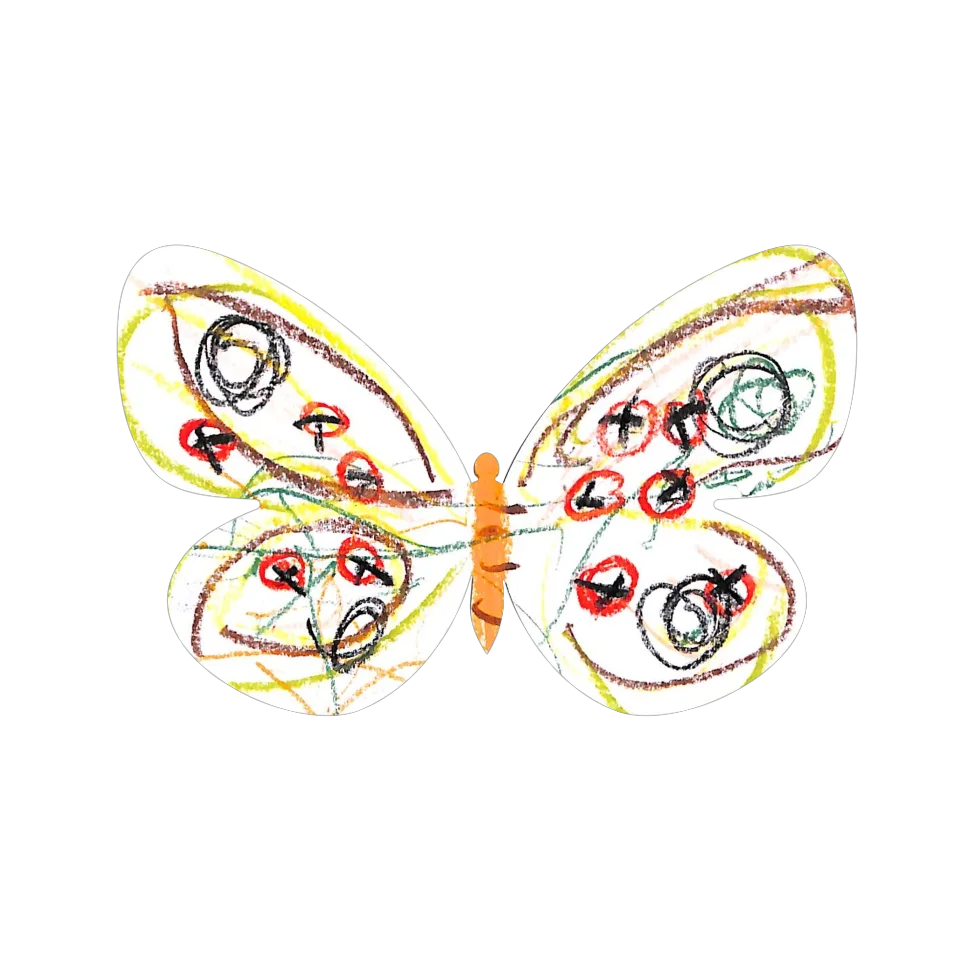 Original Butterfly Image