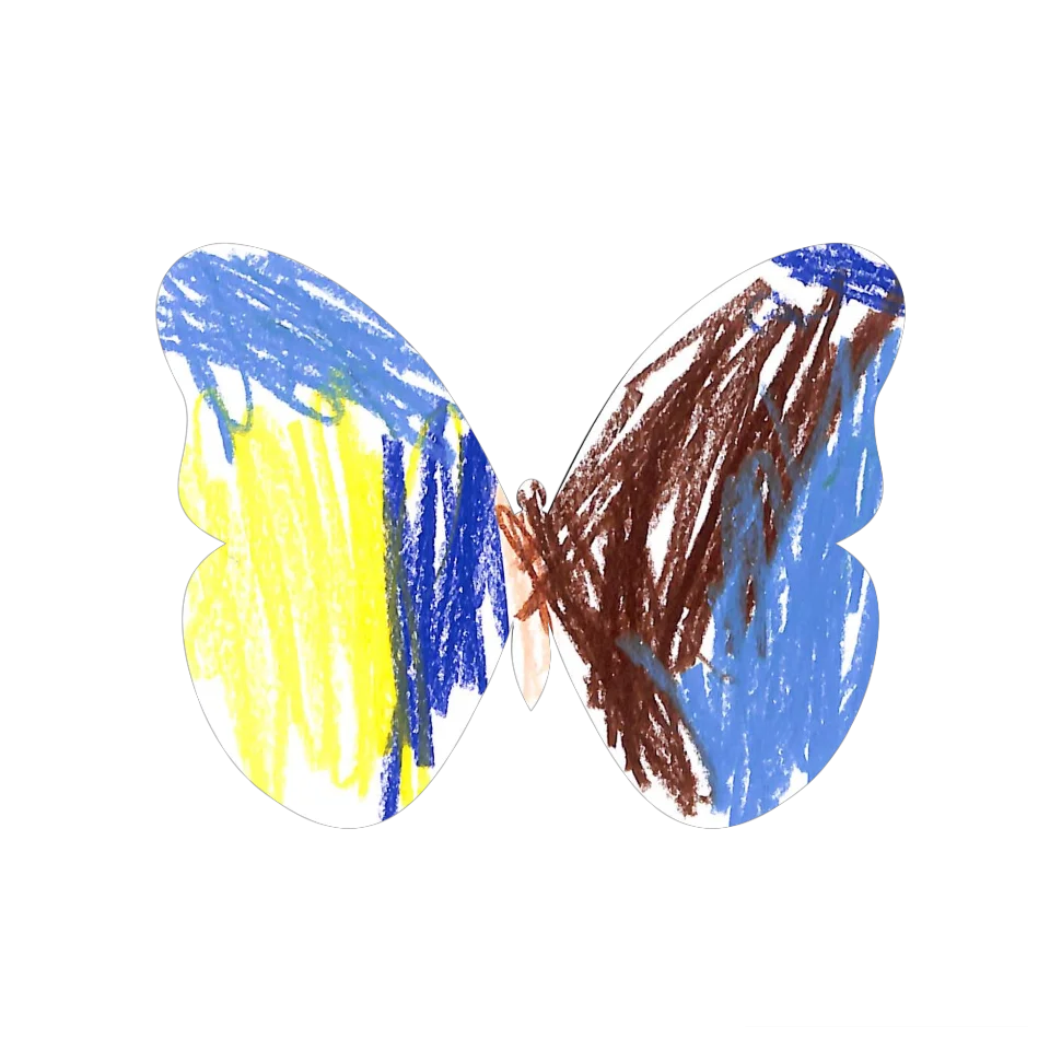 Original Butterfly Image