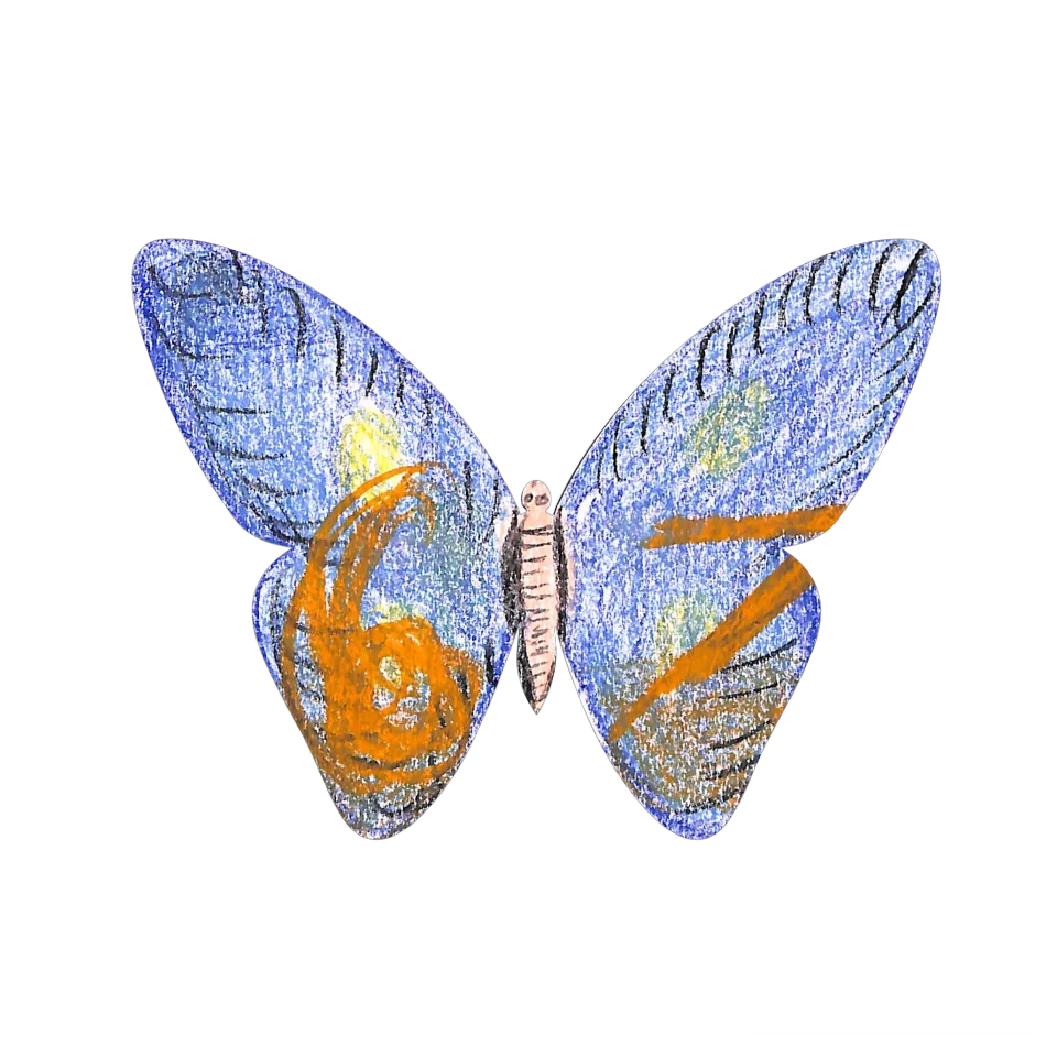 Original Butterfly Image