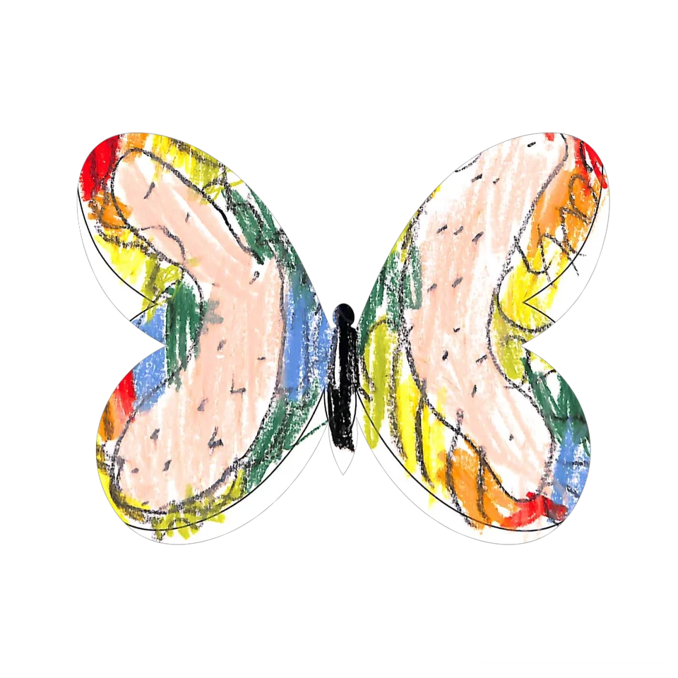 Original Butterfly Image